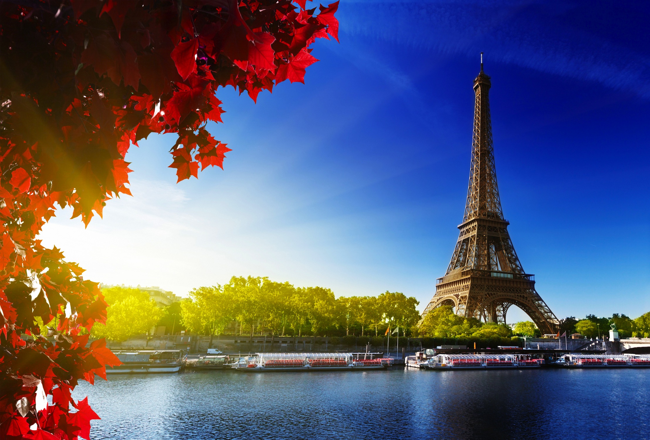 Uitzicht Op De Eiffel 3D Fotobehang