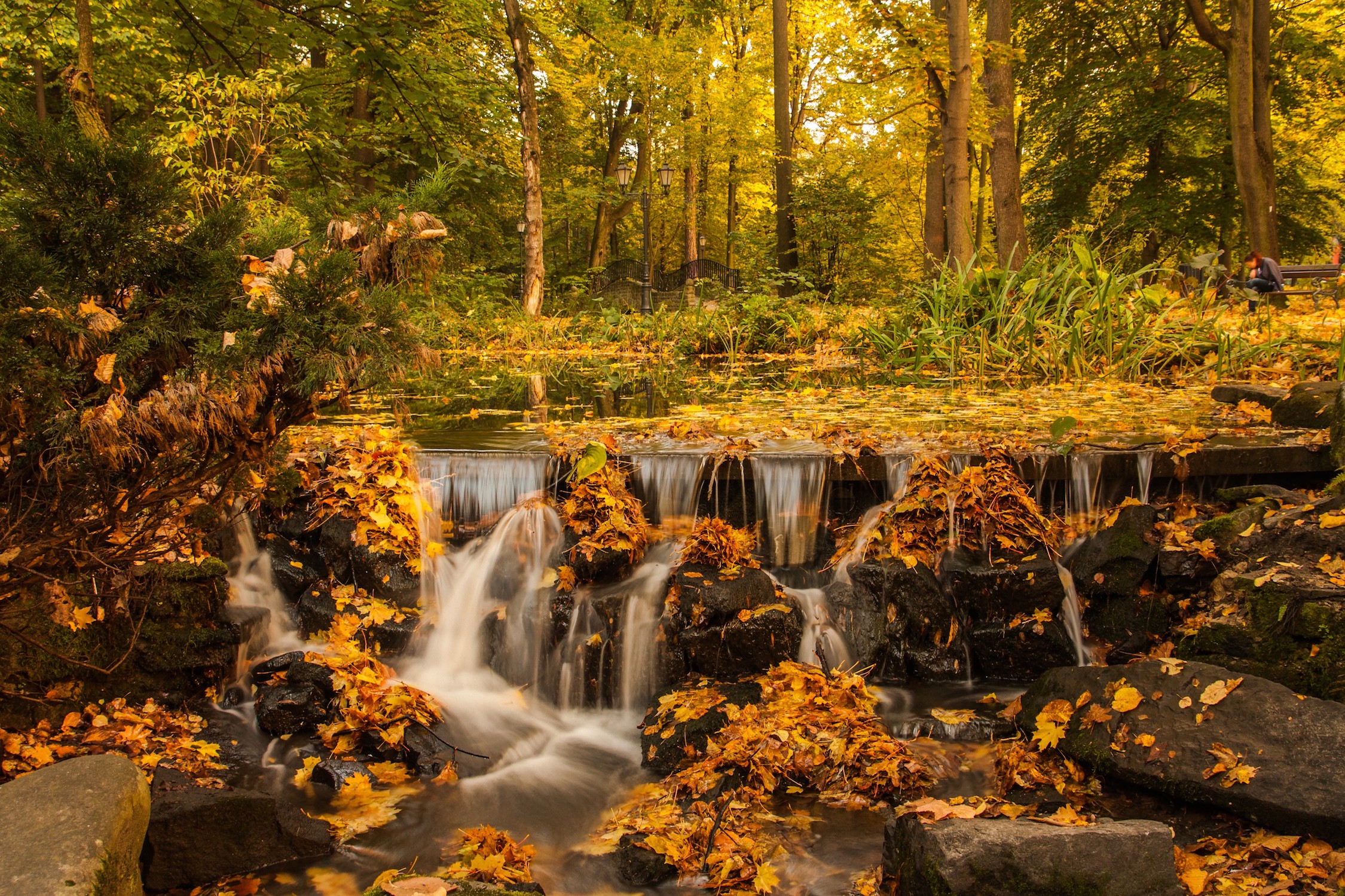 Waterval Met Herfstzicht Fotobehang 3D