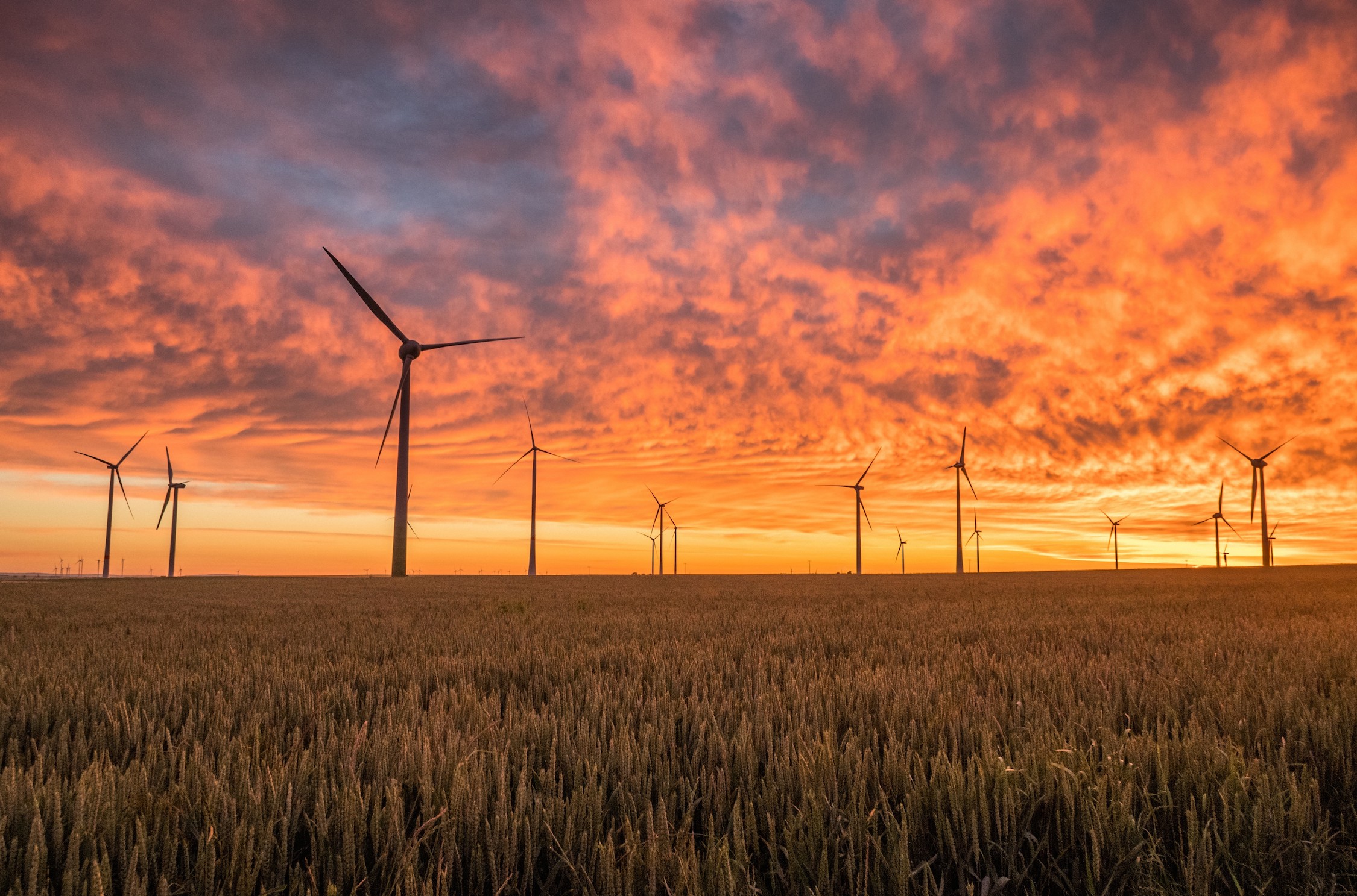 Windturbine Behang 3D