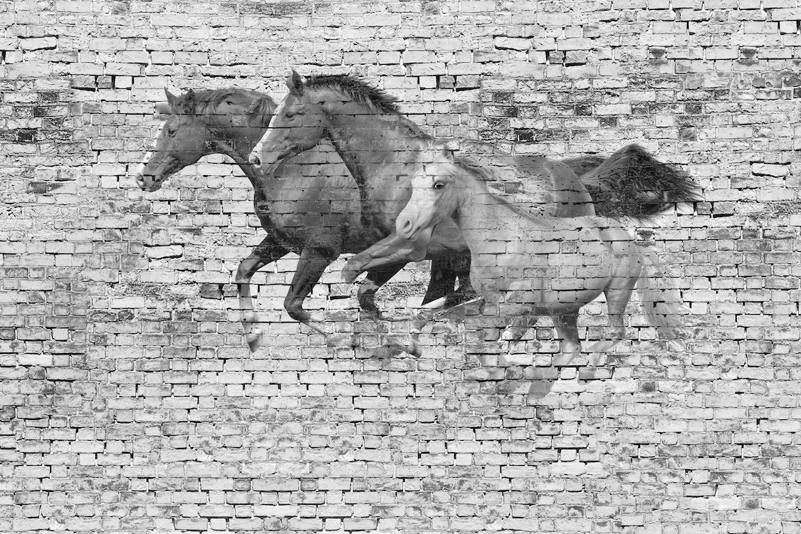 Muur Met Paarden 3D Fotobehang