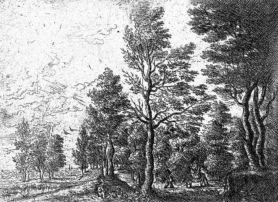 Zwart-Wit Bos Schets wallpaper mural