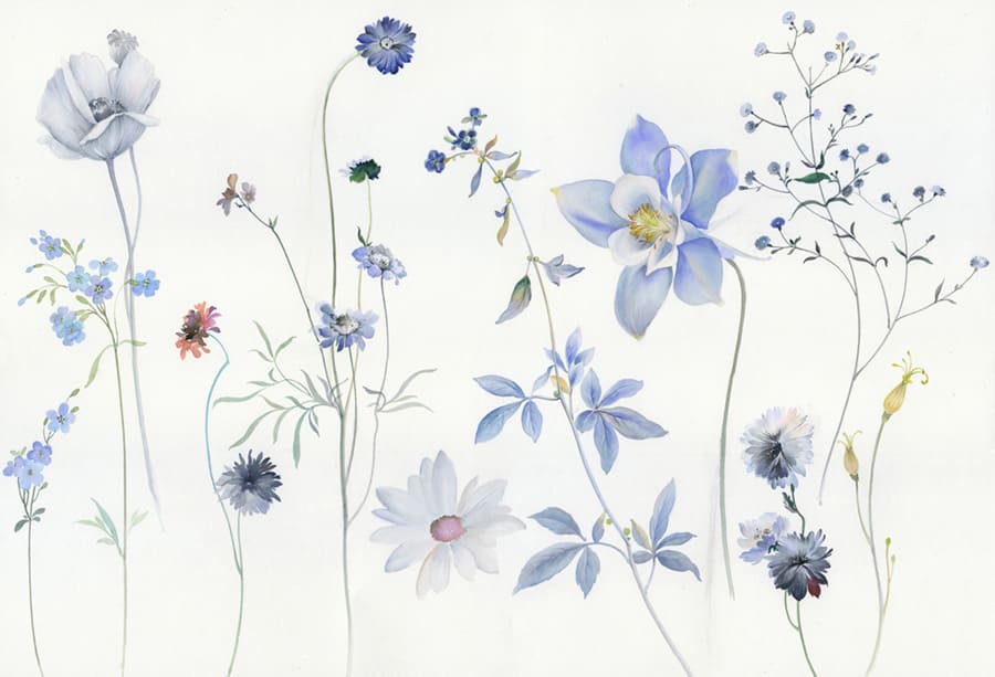 Blauwe Wilde Bloemen Aquarel wallpaper mural