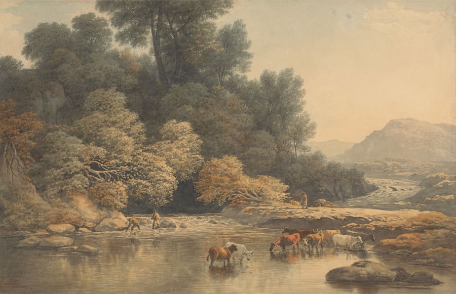 Vintage Bosvallei Landschap wallpaper mural
