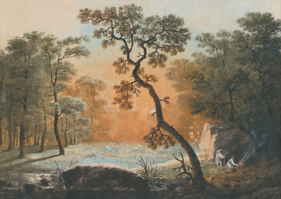 Boslandschap met Sierlijke Boom wallpaper mural