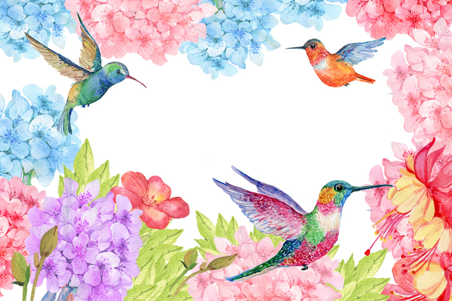 Bloemen met Kolibries wallpaper mural