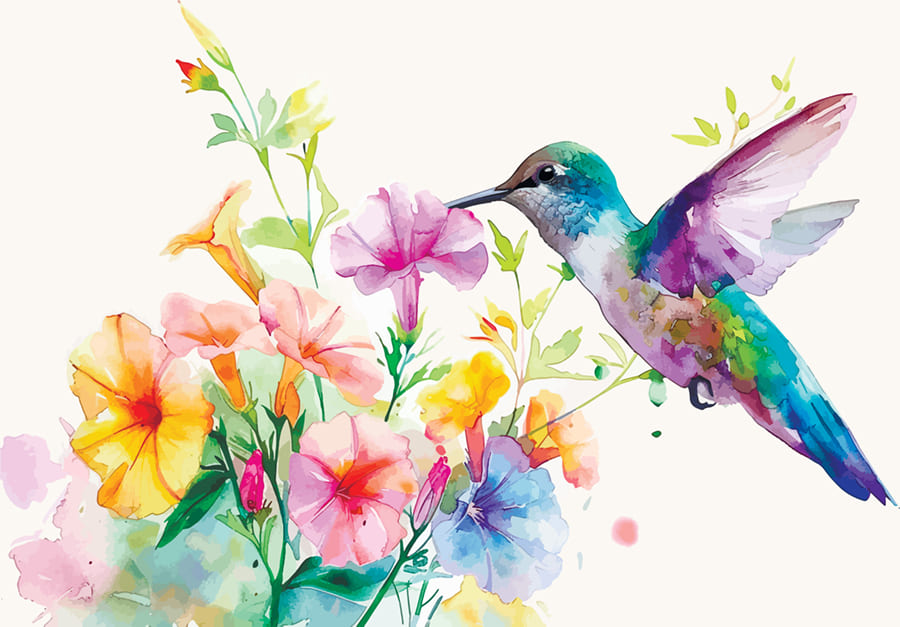 Kleurrijke Kolibrie wallpaper mural