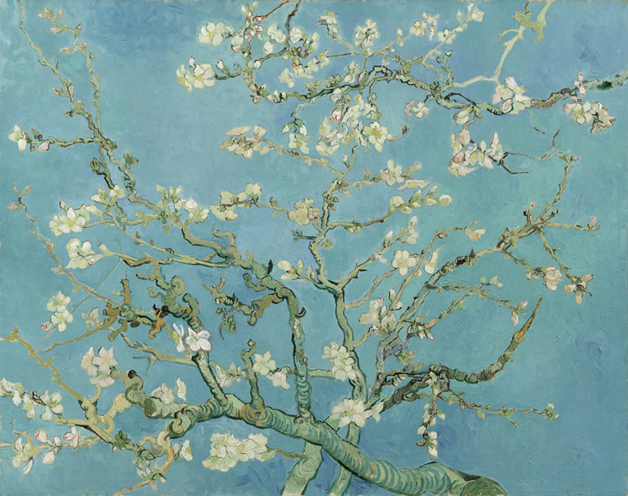 Van Gogh Amandelbloesem wallpaper mural
