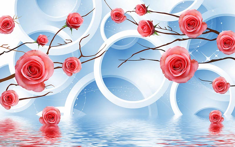 Rozen en Cirkels wallpaper mural