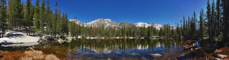 Panoramisch Boszicht wallpaper mural