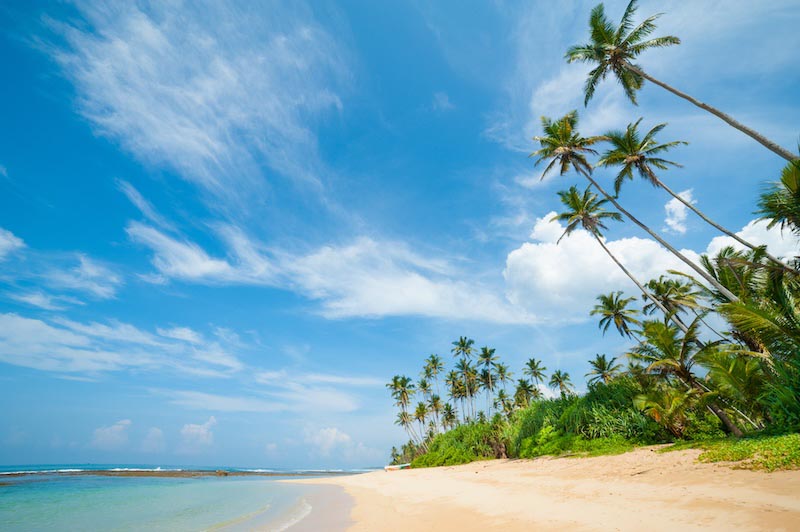 Droomvakanties wallpaper mural