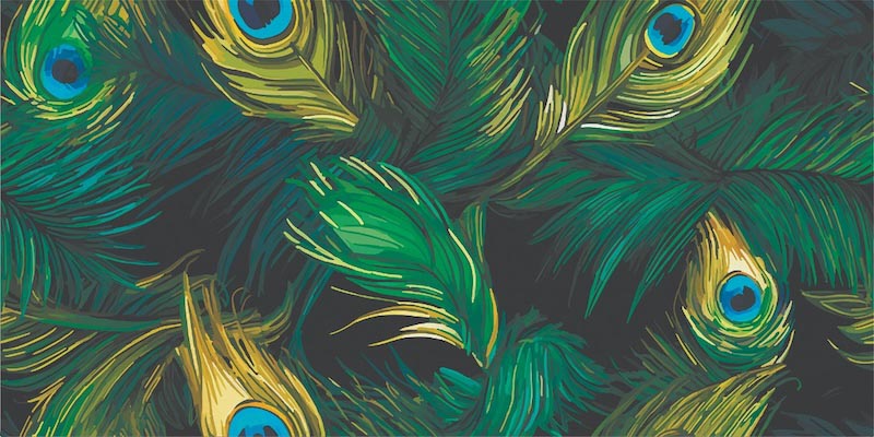 Pauwenveer Speels wallpaper mural