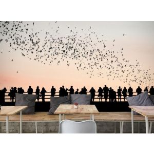 Vogels en Mensen