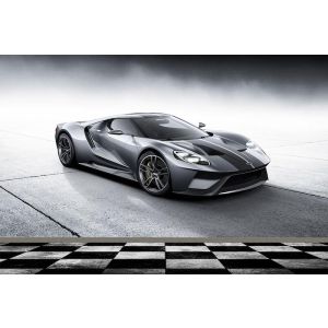 Ford Gt Zilver