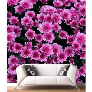 Paarse Bloemen