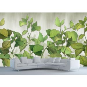 Planten voor Woonkamer