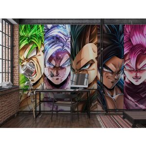 Dragon Ball Transformatie