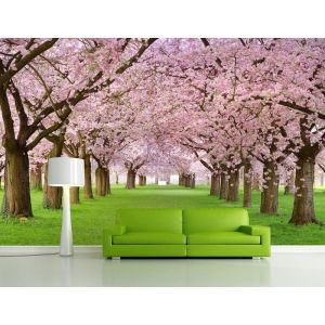 Bloeiende Bomen