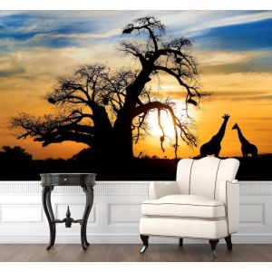 Zonsondergang Safari