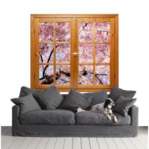 De Lente is Gekomen in Mijn Huis