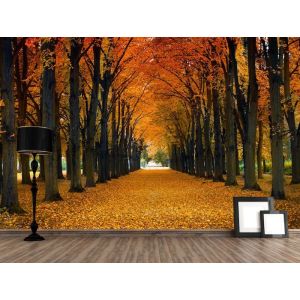 Herfstpad