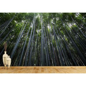 Populieren in de Lucht