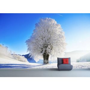 Speciale Boom voor de Winter