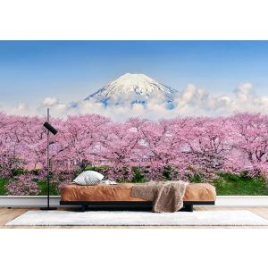 Berg Fuji Kersenbloesem