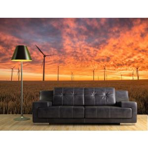 Windroos