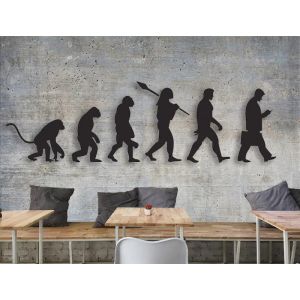 Antropologie Evolutiereis van de Mens