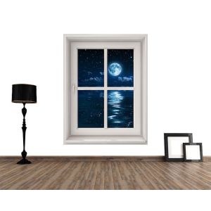 Maanlicht Vanuit Mijn Raam