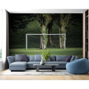 End Zone Euforie Voetbalveld