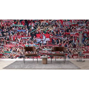 Feyenoord