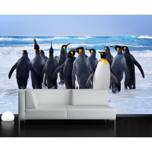 Pinguïns