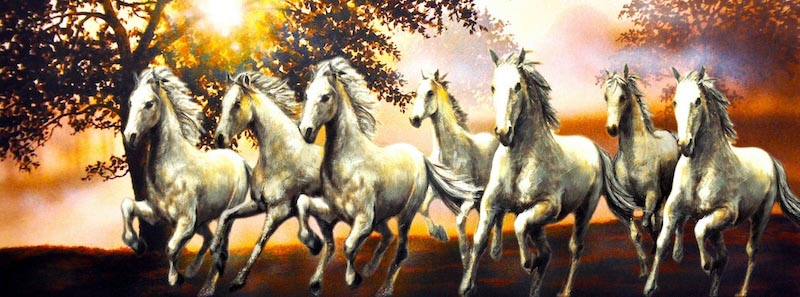 Zeven Vrije Paarden – 3D Behangdecoratie