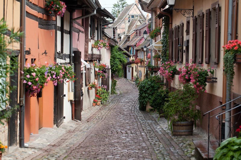 Weg van Bloemen – Muurbehang