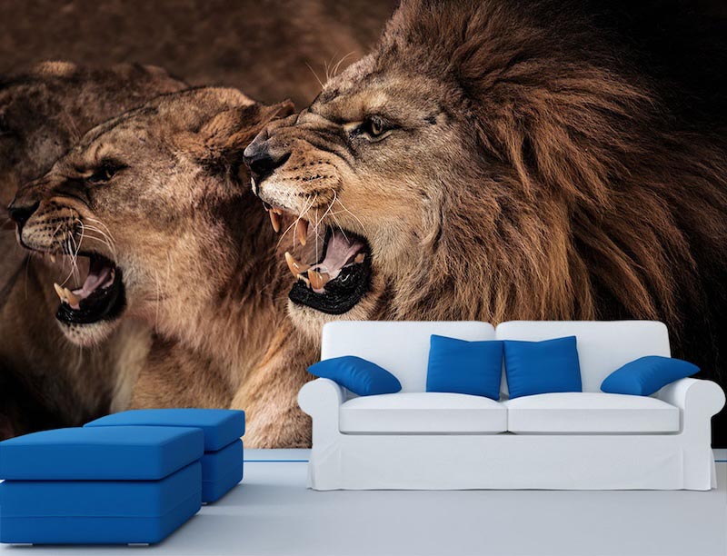 Mijn Leeuw – Muurbehang toegepast